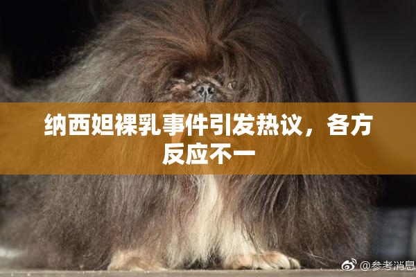 纳西妲裸乳事件引发热议，各方反应不一