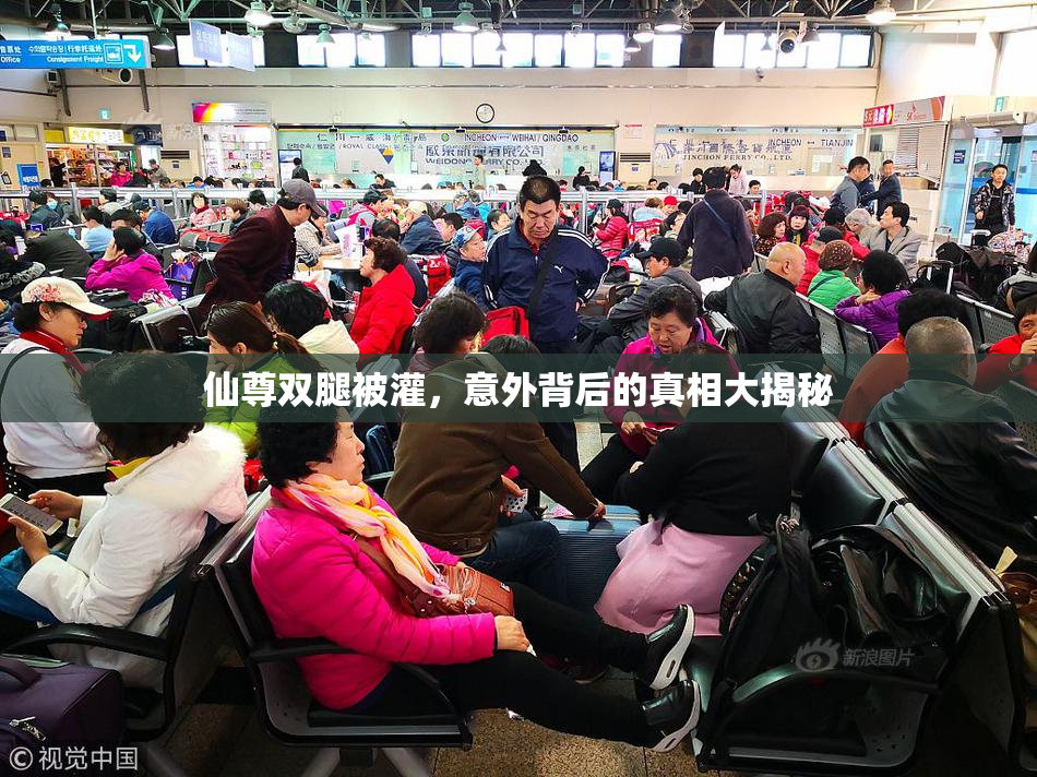 仙尊双腿被灌，意外背后的真相大揭秘