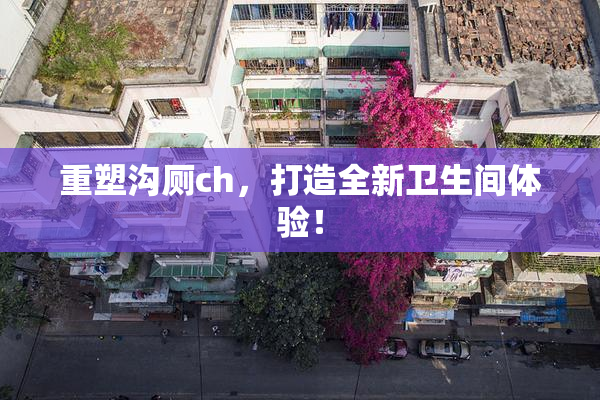 重塑沟厕ch，打造全新卫生间体验！