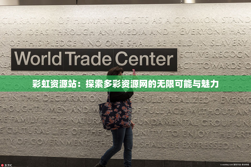 彩虹资源站：探索多彩资源网的无限可能与魅力