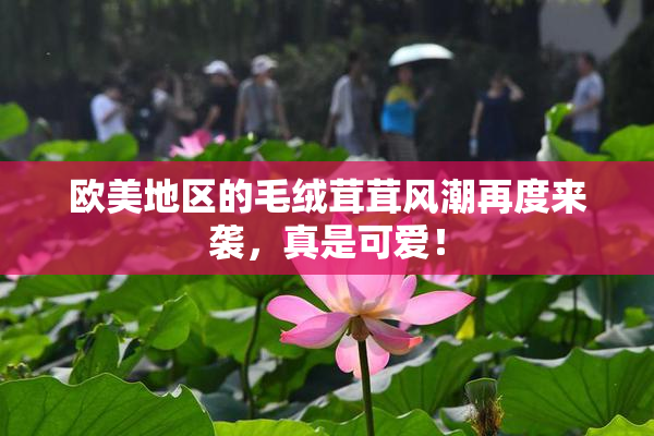 欧美地区的毛绒茸茸风潮再度来袭，真是可爱！
