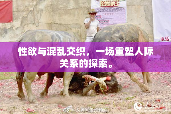 性欲与混乱交织，一场重塑人际关系的探索。
