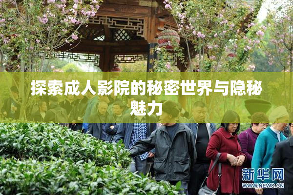 探索成人影院的秘密世界与隐秘魅力