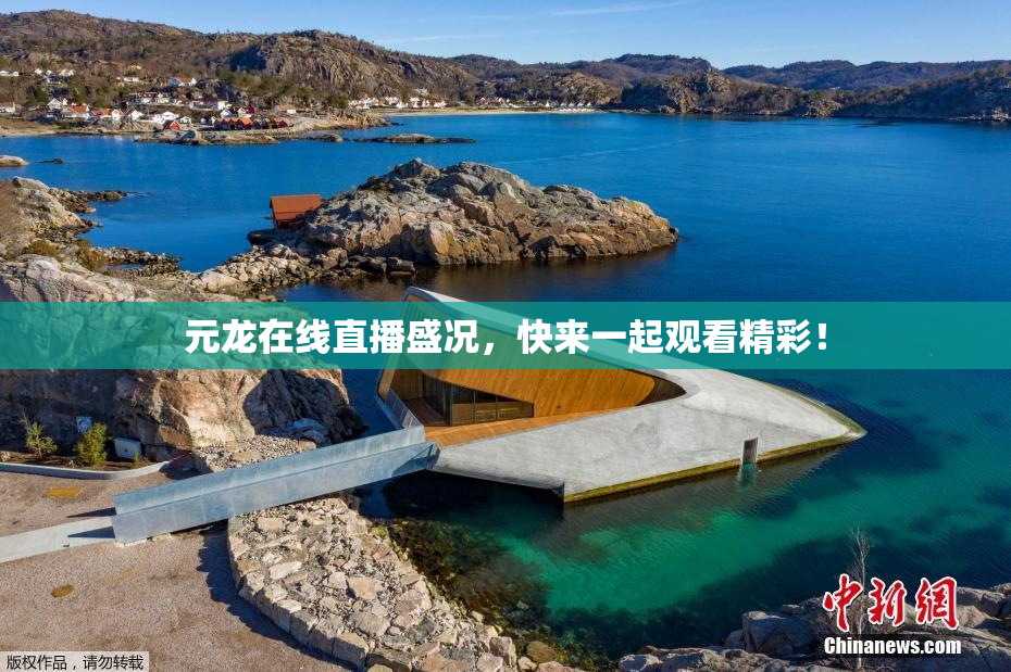 元龙在线直播盛况，快来一起观看精彩！