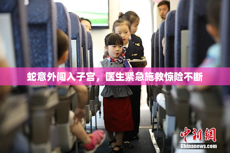 蛇意外闯入子宫，医生紧急施救惊险不断