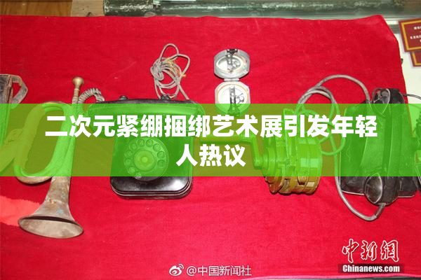 二次元紧绷捆绑艺术展引发年轻人热议