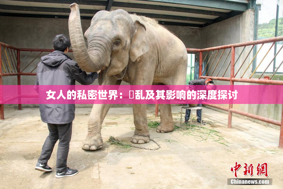 女人的私密世界：婬乱及其影响的深度探讨