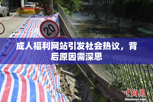 成人福利网站引发社会热议，背后原因需深思