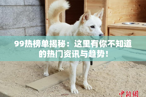 99热榜单揭秘：这里有你不知道的热门资讯与趋势！