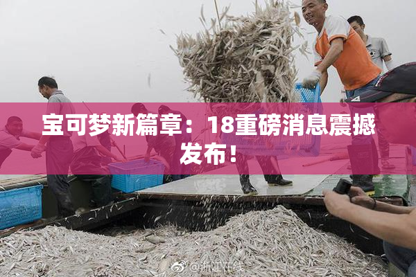 宝可梦新篇章：18重磅消息震撼发布！