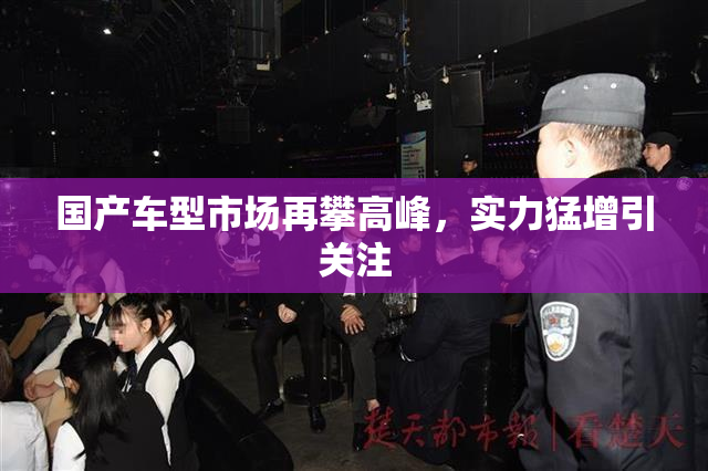 国产车型市场再攀高峰，实力猛增引关注