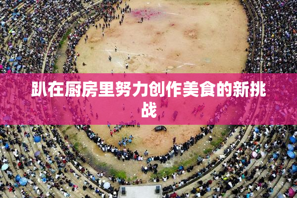 趴在厨房里努力创作美食的新挑战