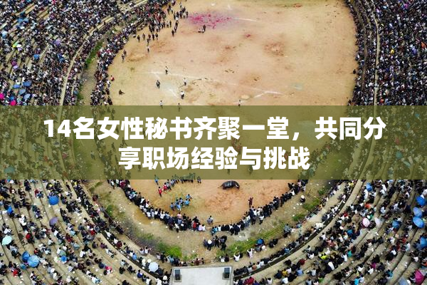 14名女性秘书齐聚一堂，共同分享职场经验与挑战