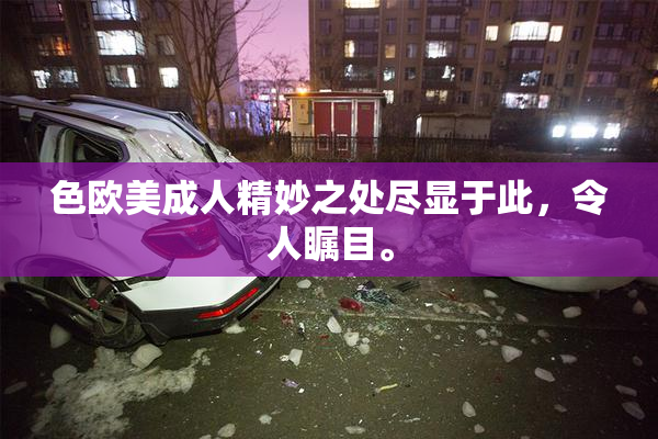 色欧美成人精妙之处尽显于此，令人瞩目。