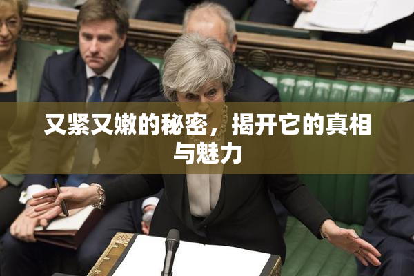 又紧又嫩的秘密，揭开它的真相与魅力