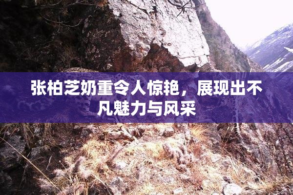张柏芝奶重令人惊艳，展现出不凡魅力与风采