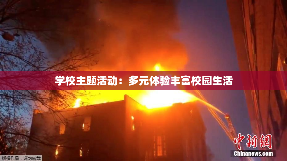 学校主题活动：多元体验丰富校园生活