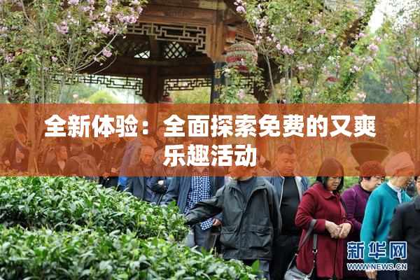 全新体验：全面探索免费的又爽乐趣活动