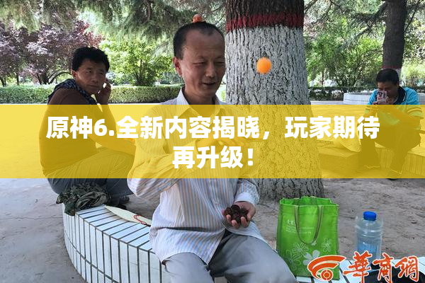原神6.全新内容揭晓，玩家期待再升级！