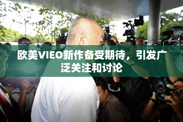 欧美VIEO新作备受期待，引发广泛关注和讨论