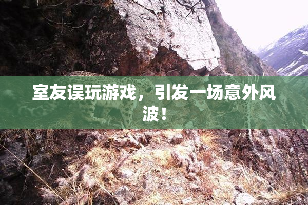 室友误玩游戏，引发一场意外风波！