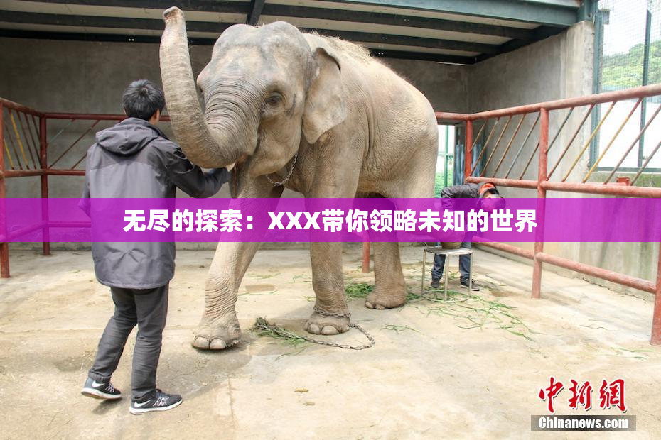 无尽的探索：XXX带你领略未知的世界