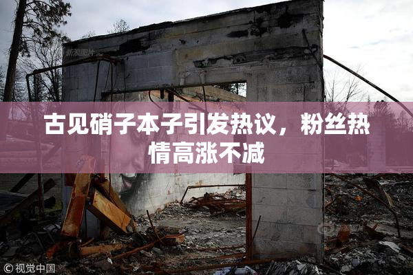 古见硝子本子引发热议，粉丝热情高涨不减