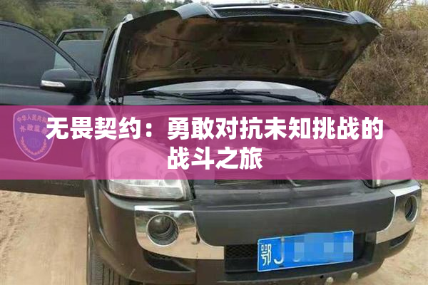 无畏契约：勇敢对抗未知挑战的战斗之旅