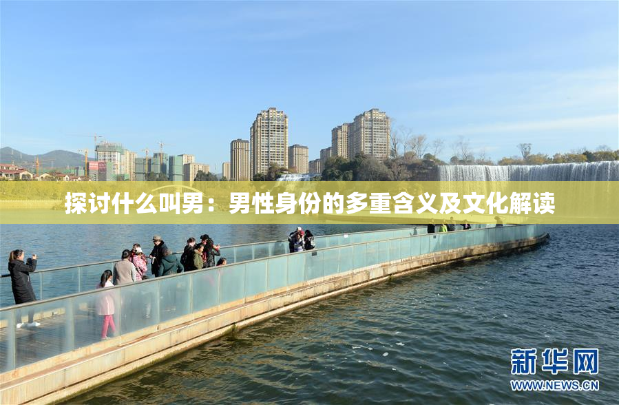探讨什么叫男：男性身份的多重含义及文化解读