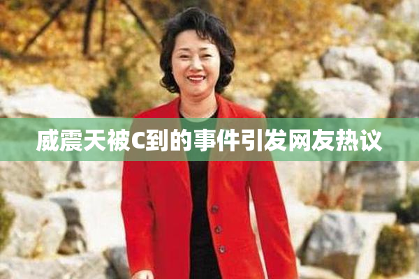 威震天被C到的事件引发网友热议