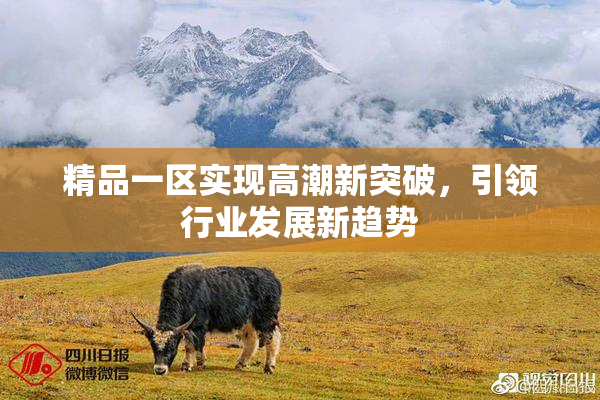 精品一区实现高潮新突破，引领行业发展新趋势