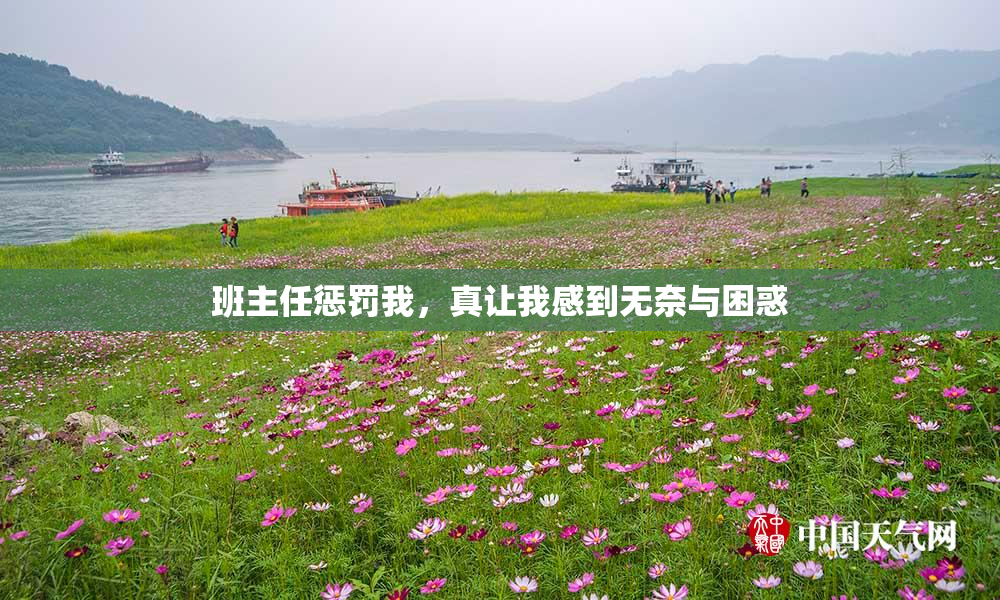 班主任惩罚我，真让我感到无奈与困惑