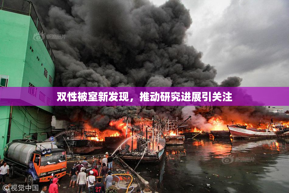 双性被室新发现，推动研究进展引关注