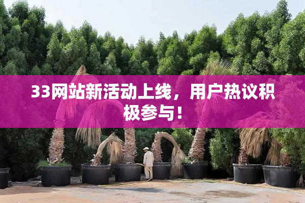 33网站新活动上线，用户热议积极参与！