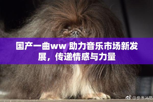 国产一曲ww 助力音乐市场新发展，传递情感与力量