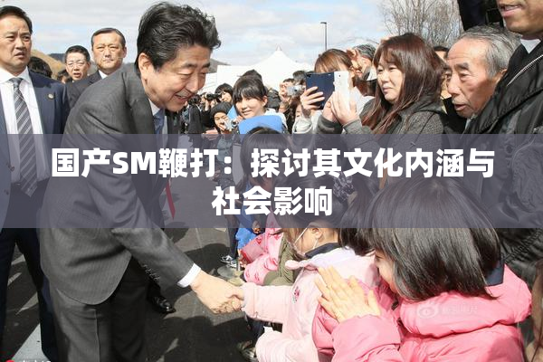 国产SM鞭打：探讨其文化内涵与社会影响