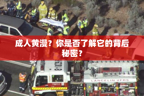成人黄漫？你是否了解它的背后秘密？