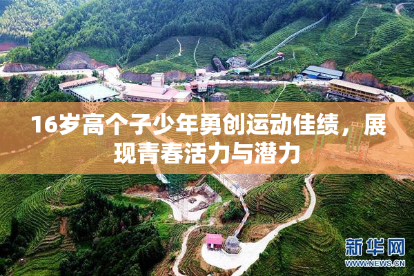16岁高个子少年勇创运动佳绩，展现青春活力与潜力