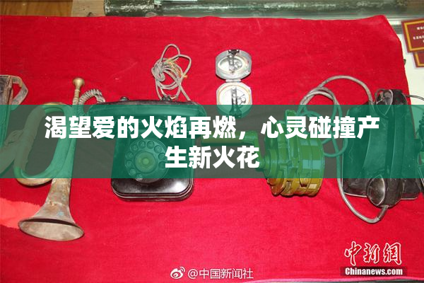 渴望爱的火焰再燃，心灵碰撞产生新火花