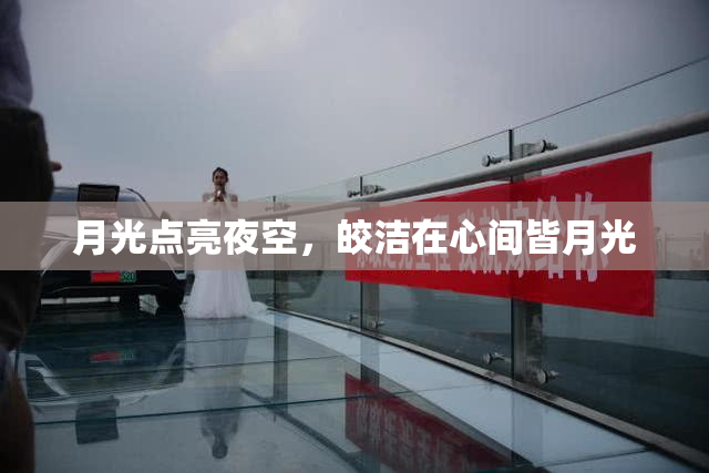 月光点亮夜空，皎洁在心间皆月光