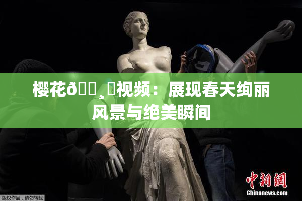 樱花🌸‌视频：展现春天绚丽风景与绝美瞬间