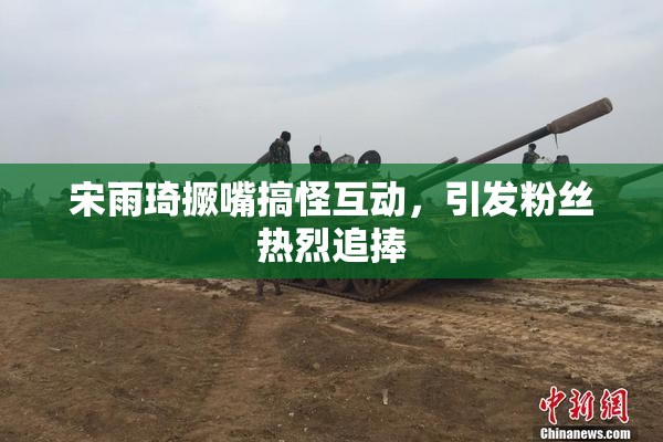 宋雨琦撅嘴搞怪互动，引发粉丝热烈追捧
