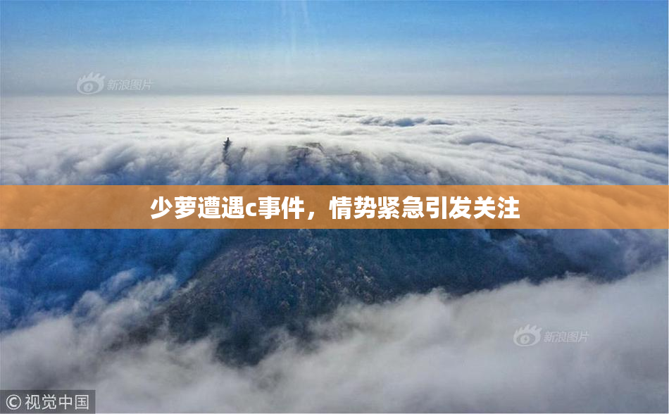 少萝遭遇c事件，情势紧急引发关注