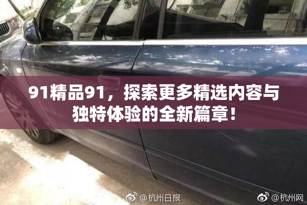 91精品91，探索更多精选内容与独特体验的全新篇章！