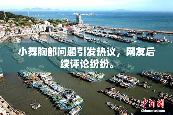 小舞胸部问题引发热议，网友后续评论纷纷。