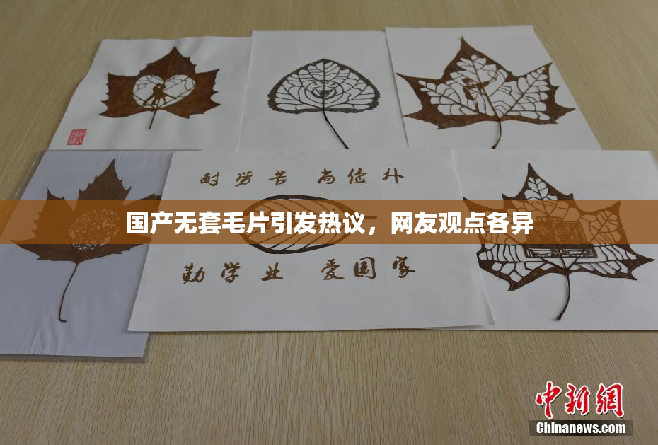 国产无套毛片引发热议，网友观点各异