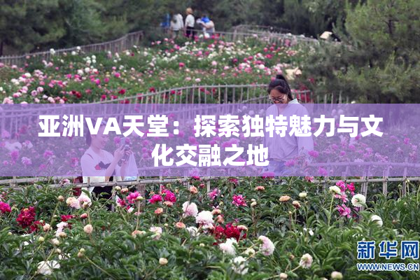 亚洲VA天堂：探索独特魅力与文化交融之地