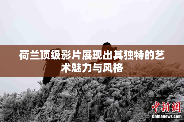 荷兰顶级影片展现出其独特的艺术魅力与风格