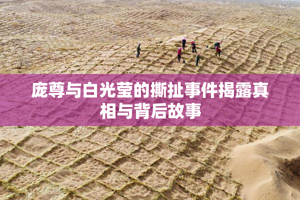 庞尊与白光莹的撕扯事件揭露真相与背后故事