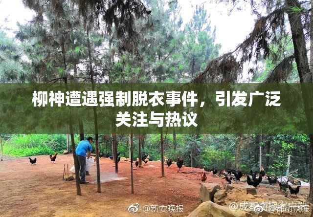 柳神遭遇强制脱衣事件，引发广泛关注与热议